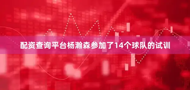 配资查询平台杨瀚森参加了14个球队的试训