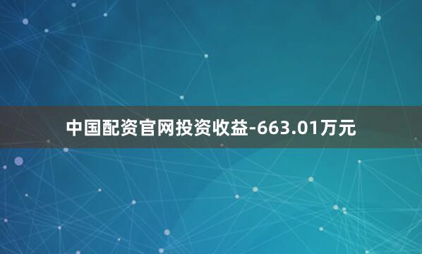 中国配资官网投资收益-663.01万元