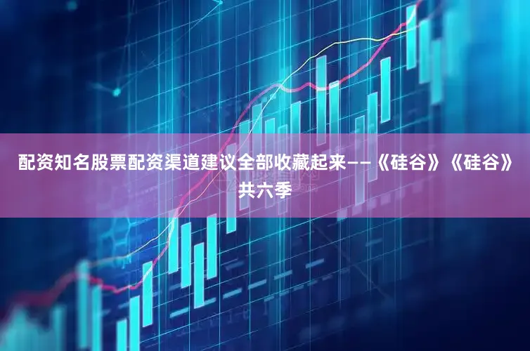 配资知名股票配资渠道建议全部收藏起来——《硅谷》《硅谷》共六季