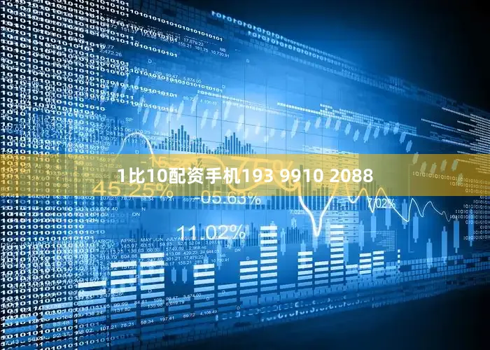1比10配资手机193 9910 2088