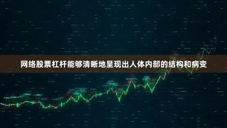 网络股票杠杆能够清晰地呈现出人体内部的结构和病变