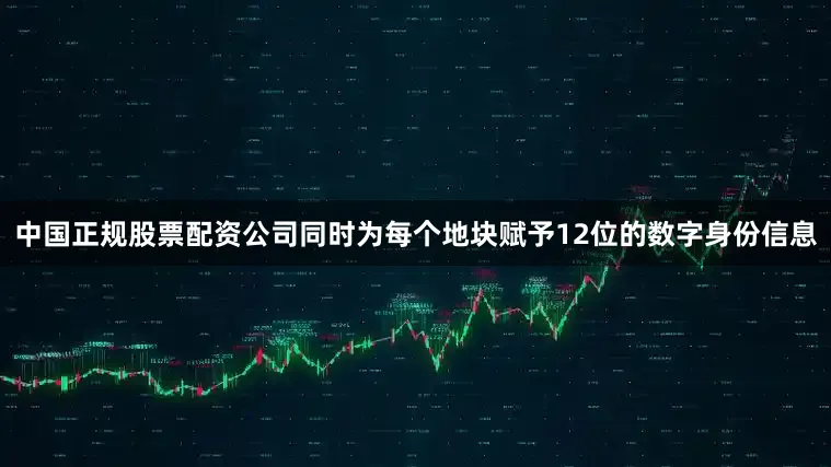 中国正规股票配资公司同时为每个地块赋予12位的数字身份信息